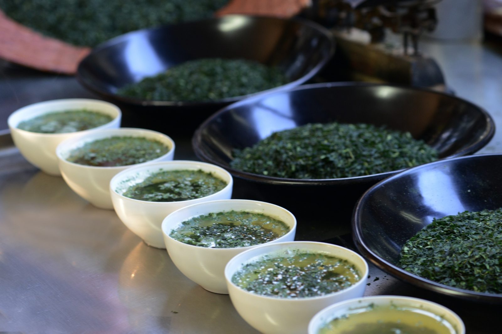Close-up of white ceramic bowls with brewed green tea and dark plates of dry leaf