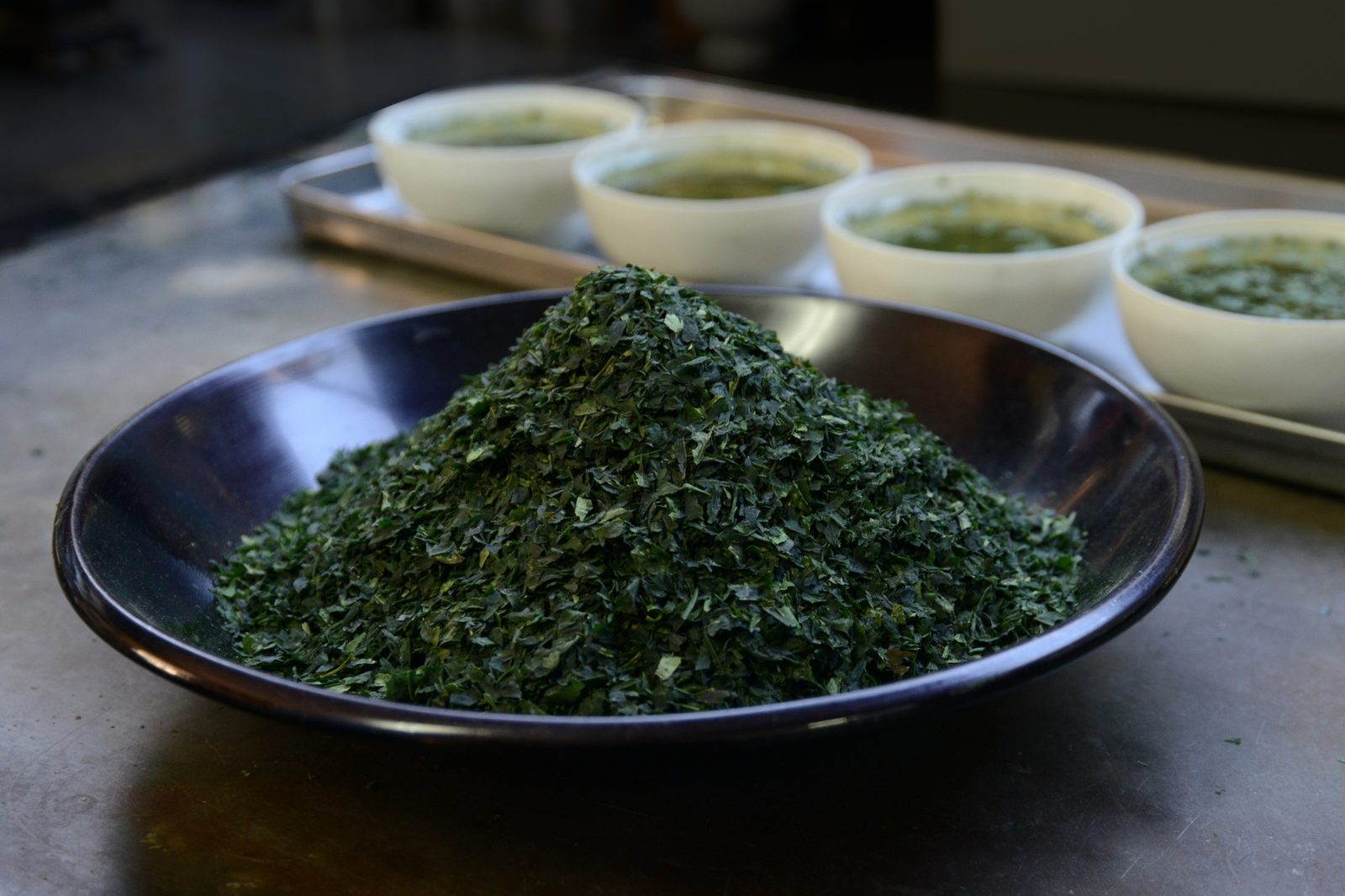 Beautiful mound of dark green loose tea leaf in a metal bowl with tasting cups behind