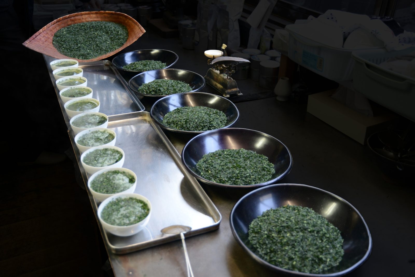 Full tea tasting lineup with bowls of brewed tea and plates of dry leaf on steel counter